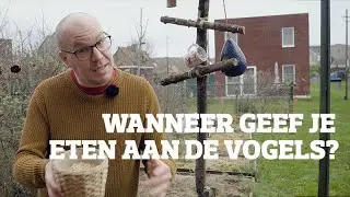Wannneer start je met vogels voederen?