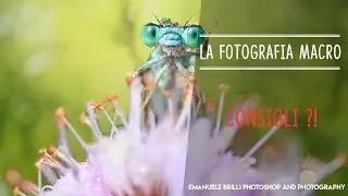 La fotografia MACRO spiegata da esperti - Tutorial fotografia