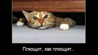 Демотивация