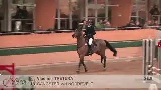 Vladimir Tretera & Gangster VH Noddevelt (Eldorado van de Zeshoek, KWPN Gelding) - Magna Racino