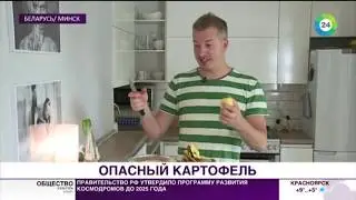 Картошку признали опасной