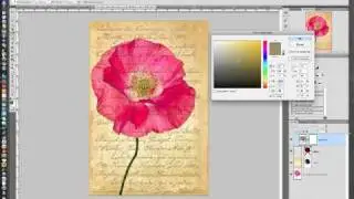 Solid Color Adjustment Layers in Photoshop