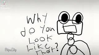 wobbox adventure 1 short
