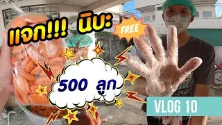 VLOG10-ทำขนมนิบะ ครั้งแรก 500 ลูก จะรอดมั้ยเนี้ยะ?
