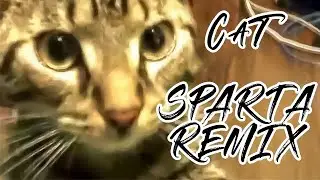 [V2] Cat - Sparta Remix