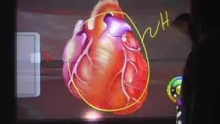 Edusim Anatomy World - 3D on your interactive whiteboard