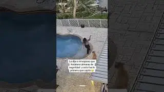 Pobrecita mamá 😥