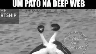 EIS QUE  VC COMPRA UM PATO NA DEEP WEB