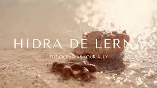 HIDRA DE LERNA