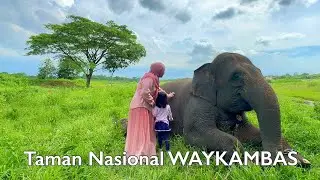 Taman Nasional WAYKAMBAS terbaru  | ROADTRIP Lampung