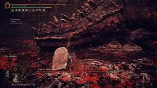 is this a bug or normal? Elden Ring DLC