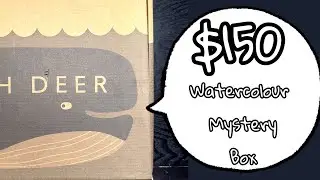 Unboxing a watercolour mystery box worth £120 / $150