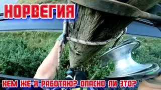 #Часть1 - Заготовка : Прокладываем Мэйн-кабель. Fiber Internet