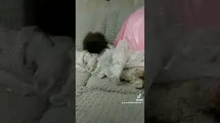 Та-ра-ра-ра-ра-ра-ра-ра....