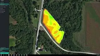 Parrott Bluegrass Fields