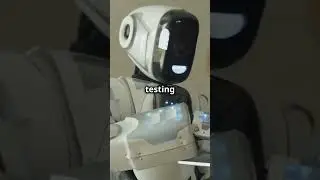 Manual vs Automated Software Testing: What's the Difference?