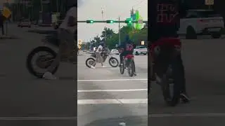 Miami Vibes