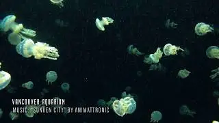 Animattronic - Sunken City (Vancouver Aquarium)