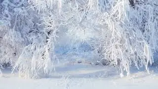 Тютчев Фёдор Стихи: 