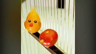 Doodland brids