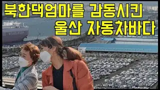 태어 나 처음 본 울산의 현대자동차와 부산의 바다 위 다리를 보고 북한댁엄마는 어떤 생각을 했을까요?