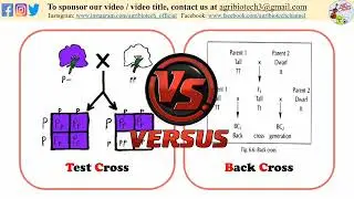 Difference Between Back Cross and Test cross | Back cross Vs Test cross