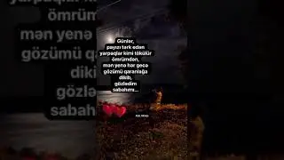 9 июня 2023 г.