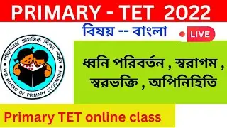 PRIMARY TET-বাংলা।।ধ্বনি পরিবর্তন।।স্বরাগম।।স্বরভক্তি।।অপিনিহিতি।।