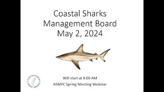 Coastal Sharks Board Proceedings Spring2024
