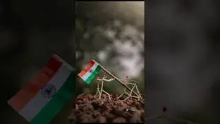 Creative photo 