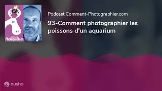 93-Comment photographier les poissons d'un aquarium