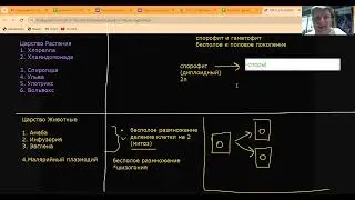 Протисты и водоросли для ЦЭ и ЦТ. У кого какое размножение.