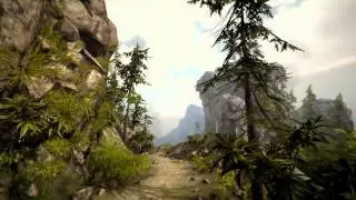 forest 201304-25 19-18-56-07.mp4video