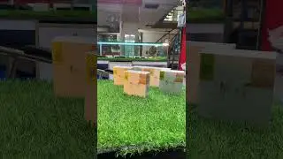 AirPods Pro japan 