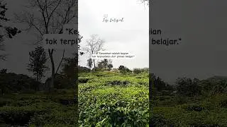 Kesalahan Adalah #shortvideo #shorts #short #katakatabijak #motivasi #motivasidiri #quotes #trending