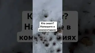 Необычная находка на болоте! Что это? Кто знает?