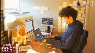 study with me live pomodoro | 12 hours *super revision day*