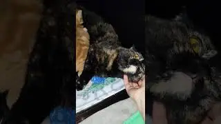 Кто вдоль, кто поперёк
