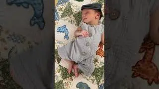 Dreaming of going on an adventure 🦓🦍🐘🐊🦁#newbornbaby #babyvideos