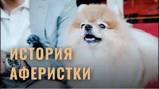 Интервью Геннадия Князева | История появления Лолы в нашей семье