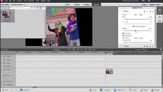 Scale and Rotation: Adobe Premiere Elements