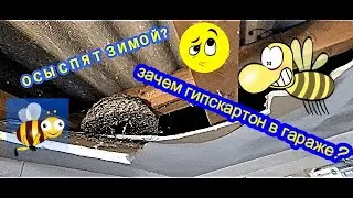 Сорвал гипсокартон в гараже  Гнездо ос  И ещё две дачи выкосить.