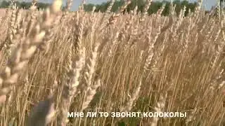 Эту песню можно слушать на репите! 😌 Анна Пингина - Ласточка (MikaThick) 