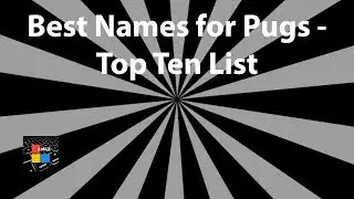 Best Names for Pugs - Top Ten List