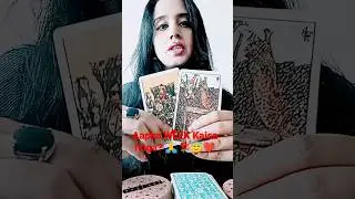 Aapka WEEK Kaisa hoga? 🙏🌹😇❤️ TIMELESS! #healingsouls #tarot #predictions #weeklypredictions