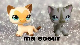 (LPS) ma soeur - Danois LPS .