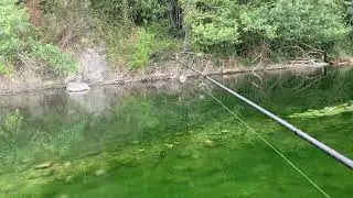 Ловля Головля в Сочи