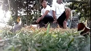 Farewell Vlog