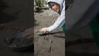 Nanagsa ang daghang bolinaw sa baybay sa Sabang, Launion, Cabadbaran City.