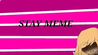 STAY MEME